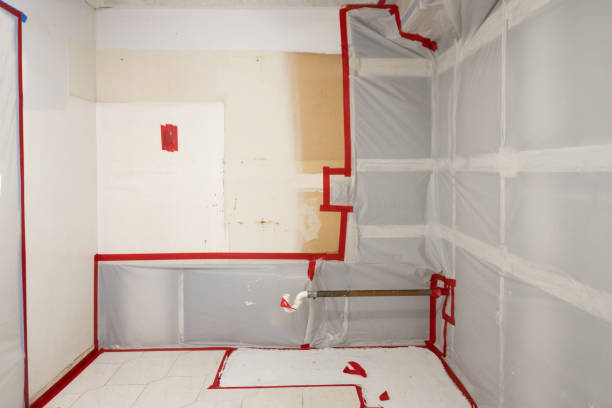 Best Airborne Mold Testing  in West Melbourne, FL