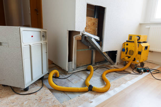 Best Environmental Consulting for Mold Prevention  in West Melbourne, FL